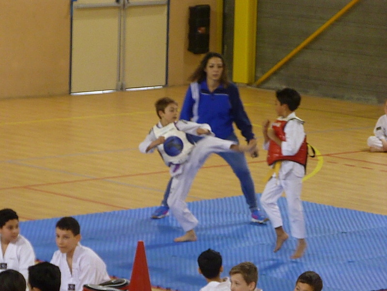 p5530578.jpg