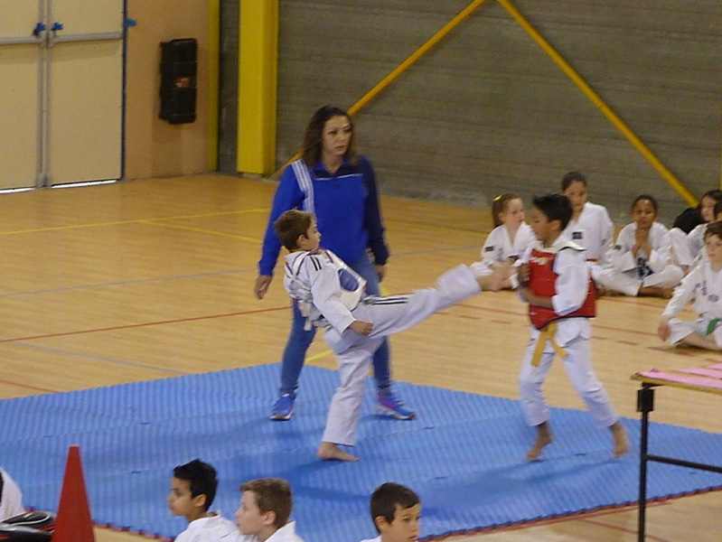 p5530608.jpg