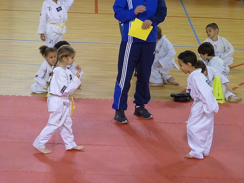 p5540328.jpg