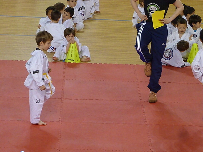 p5540886.jpg