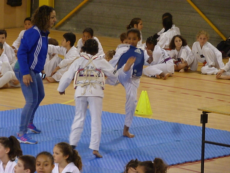 p5550113.jpg
