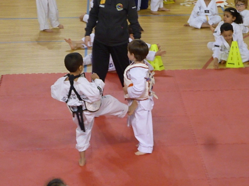 p5550477.jpg