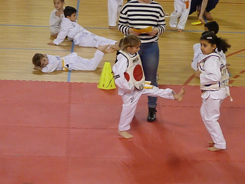 p5550568.jpg