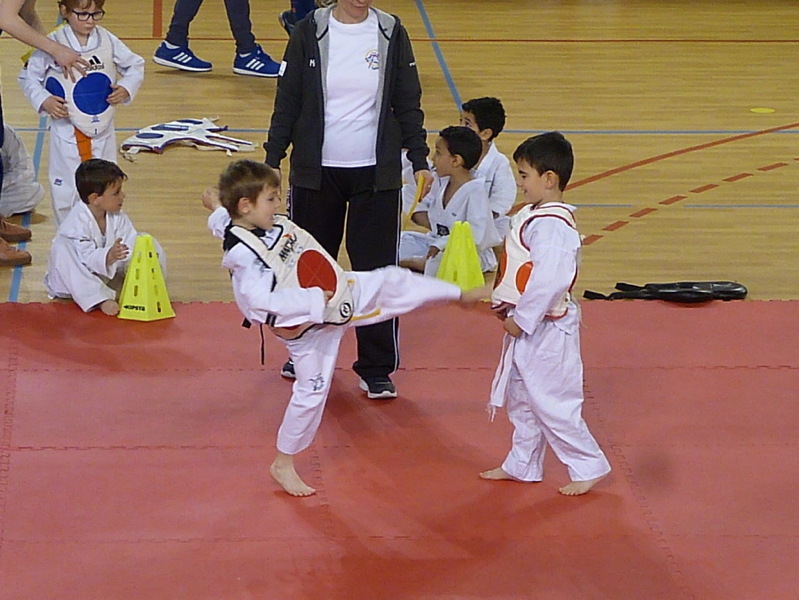 p5550641.jpg