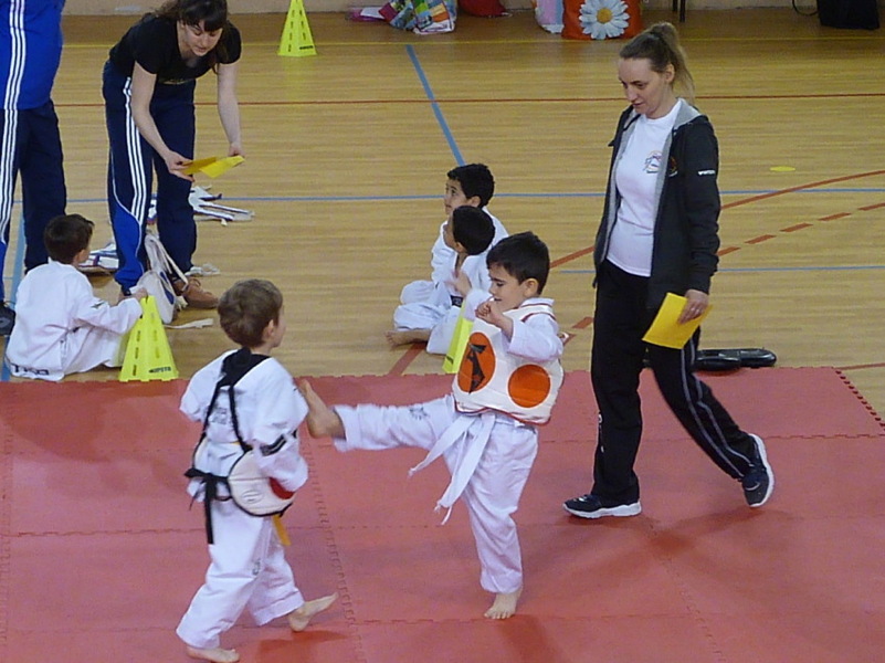 p5550677.jpg