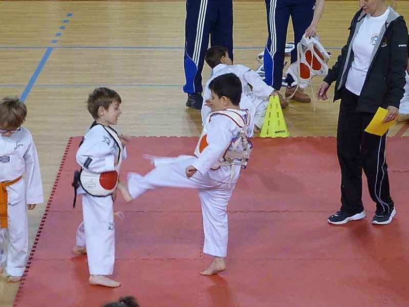 p5550690.jpg
