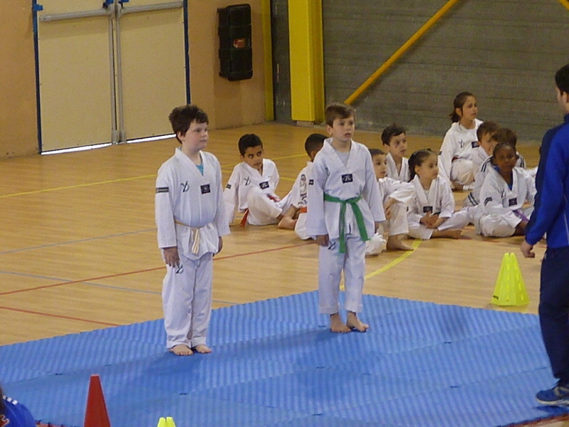 p5550705.jpg