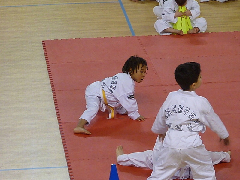 p5550907.jpg
