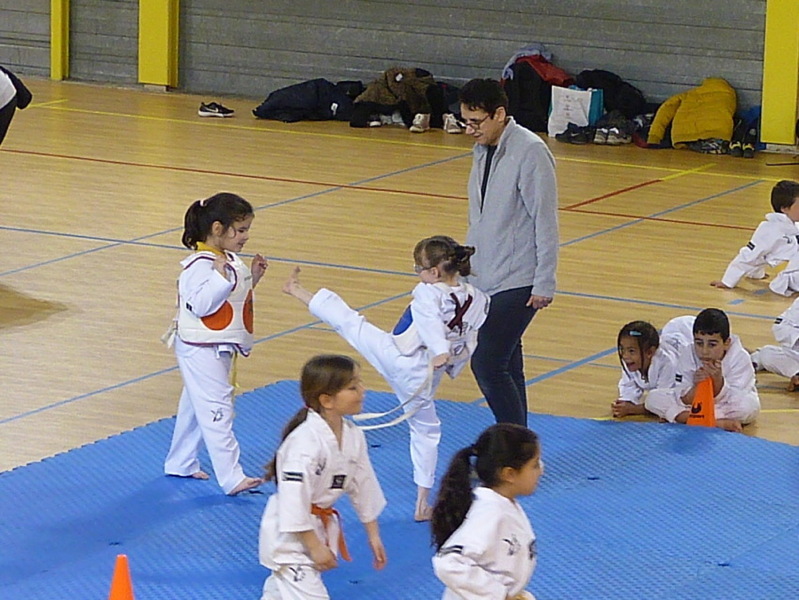 p5560270.jpg