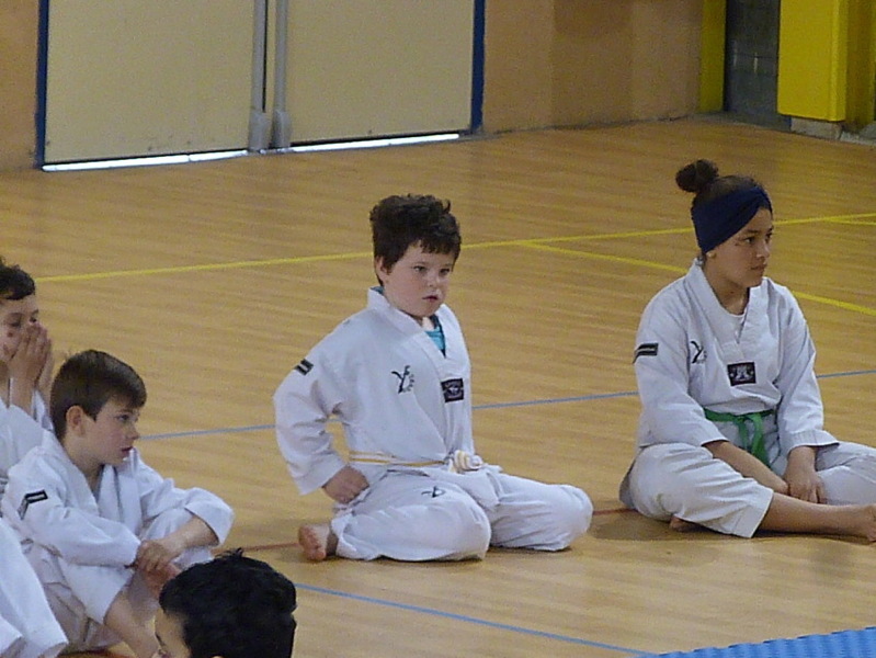 p5560359.jpg