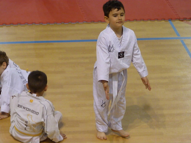 p5560848.jpg
