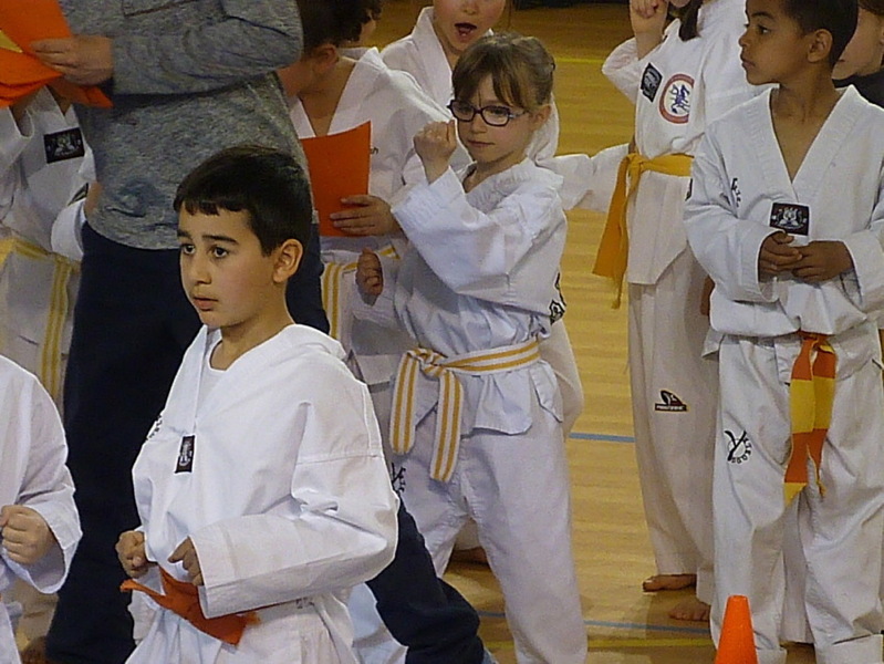 p5570065.jpg