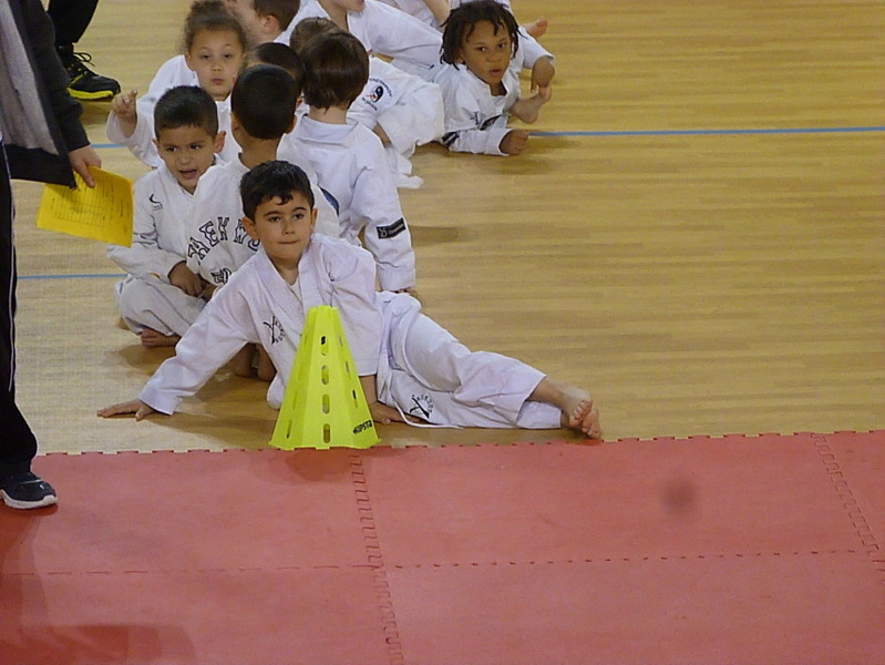 p5570472.jpg