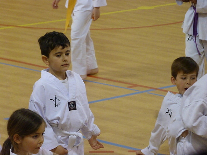 p5590109.jpg