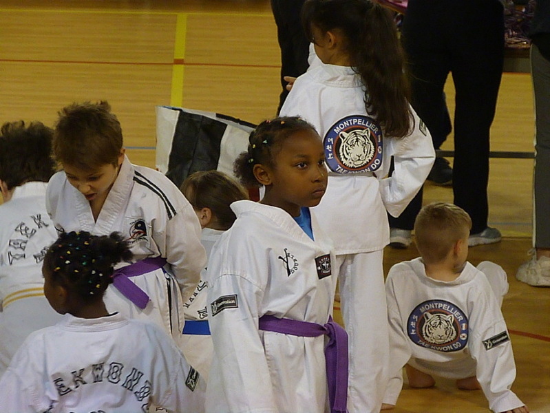 p5590221.jpg