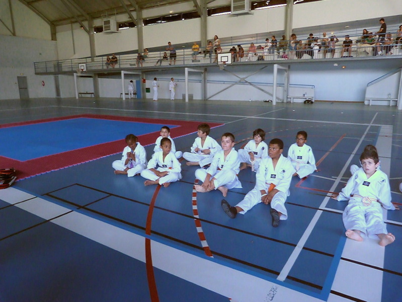p5650012.jpg