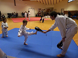 p5490740.jpg