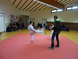 p5490767.jpg