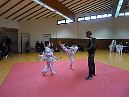 p5490772.jpg
