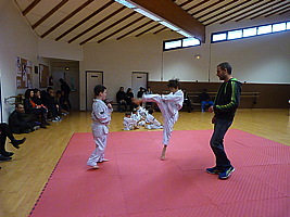 p5490782.jpg