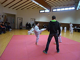 p5490797.jpg