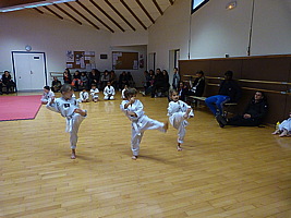p5490872.jpg