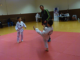 p5490944.jpg