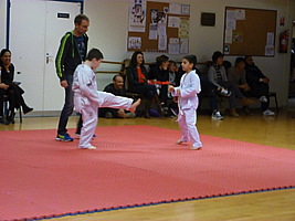 p5500122.jpg