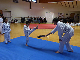 p5500199.jpg