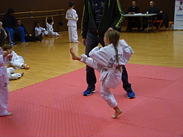 p5500358.jpg