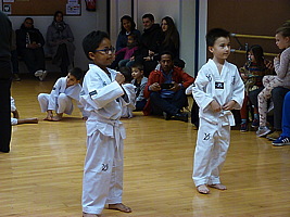 p5500583.jpg