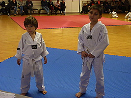 p5500599.jpg