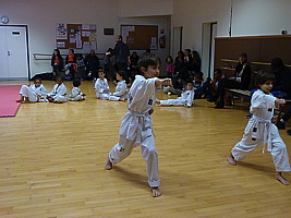 p5500775.jpg