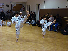 p5500850.jpg