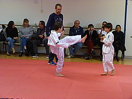 p5510163.jpg