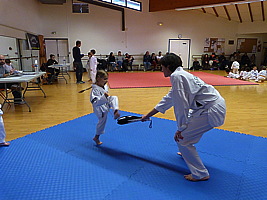 p5510271.jpg