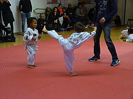 p5510344.jpg