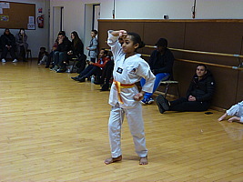 p5510571.jpg