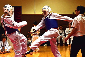 pdsc_0284.jpg