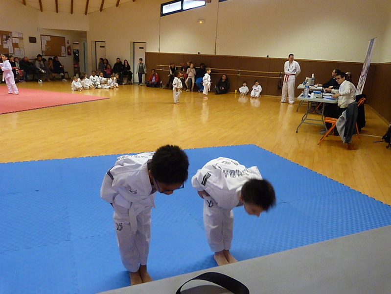 p5500115.jpg