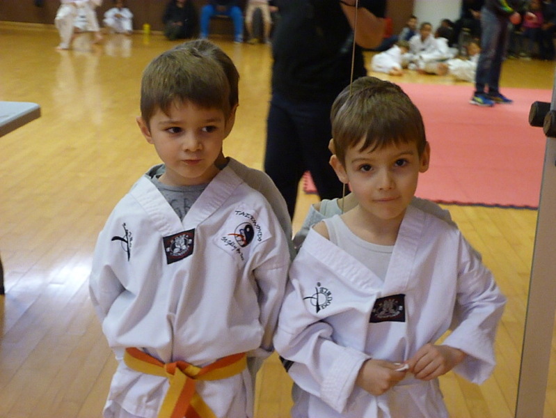 p5500374.jpg