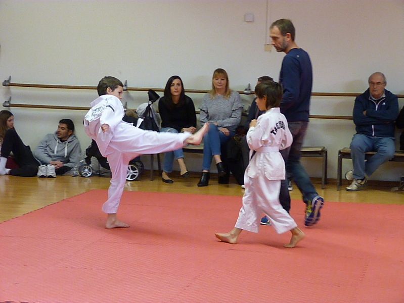 p5510149.jpg