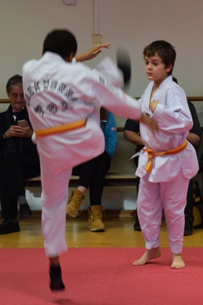 pdsc_0176.jpg
