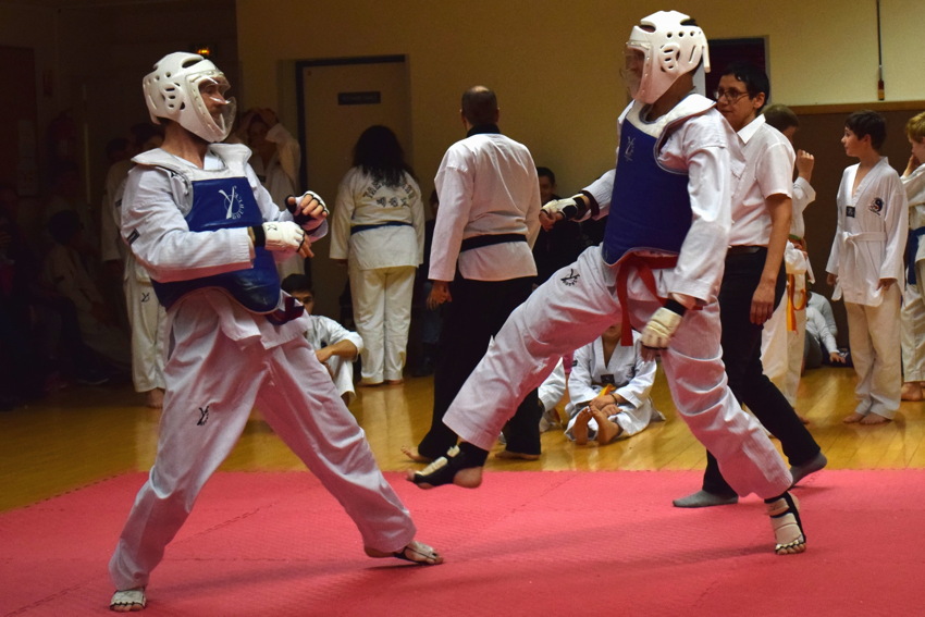 pdsc_0278.jpg