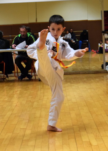 pdsc_0380.jpg