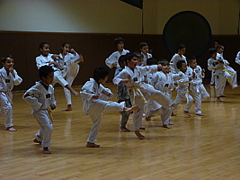 p5740107.jpg