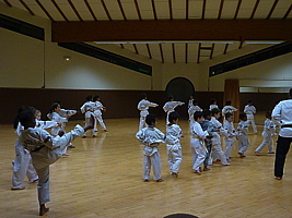 p5740142.jpg