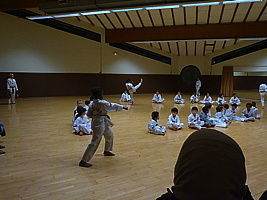 p5740152.jpg