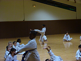 p5740158.jpg