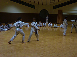 p5740186.jpg